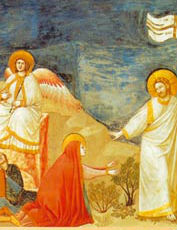 Auguri