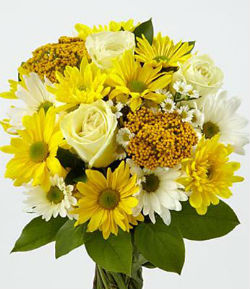 fiore