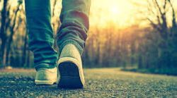 piedi