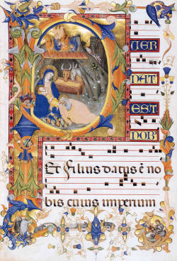 puernatus1